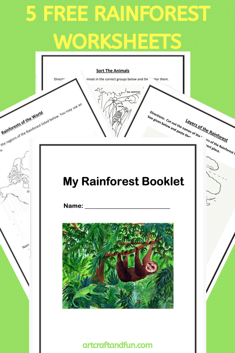 free printable rainforest worksheets