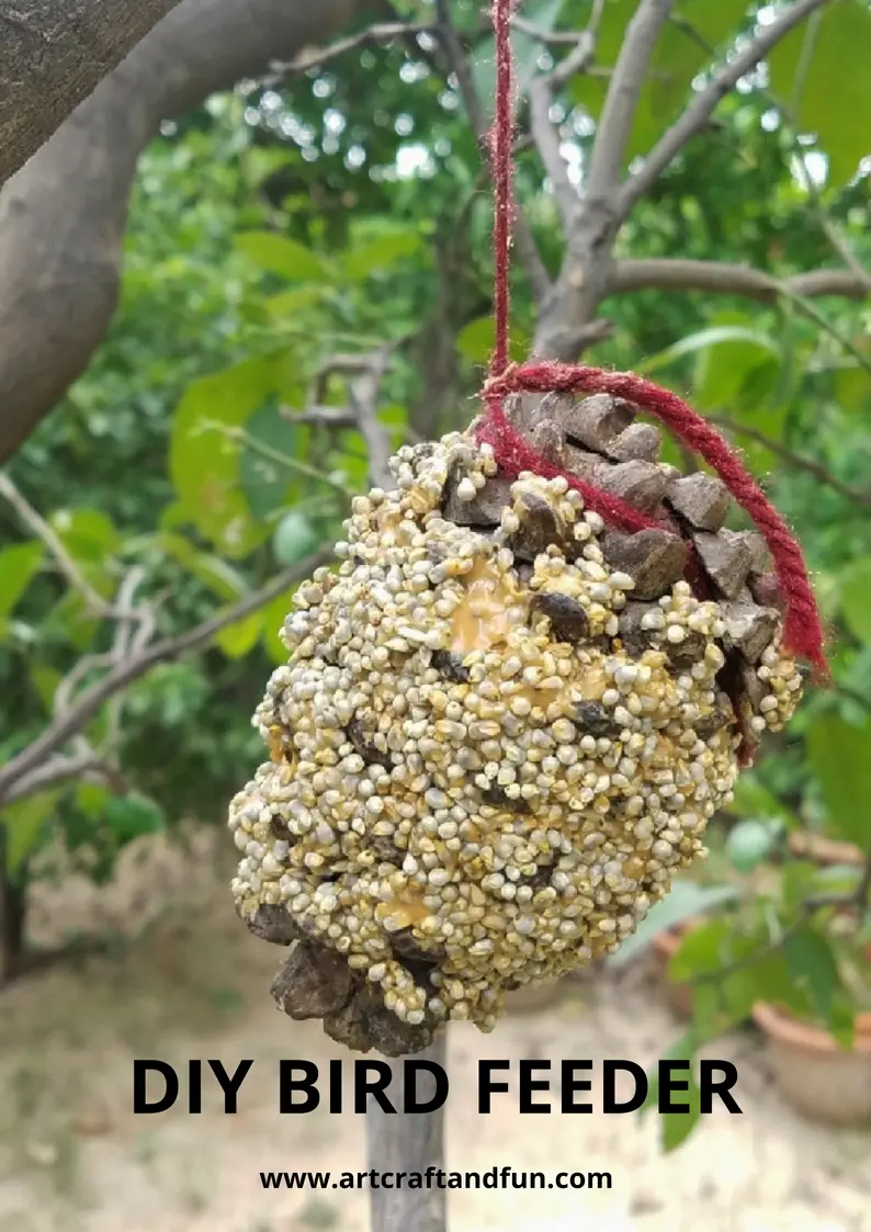 DIY Bird Feeder