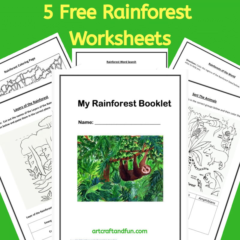 the-best-rainforest-printable-activities-for-kids-pin-by-enam-duong