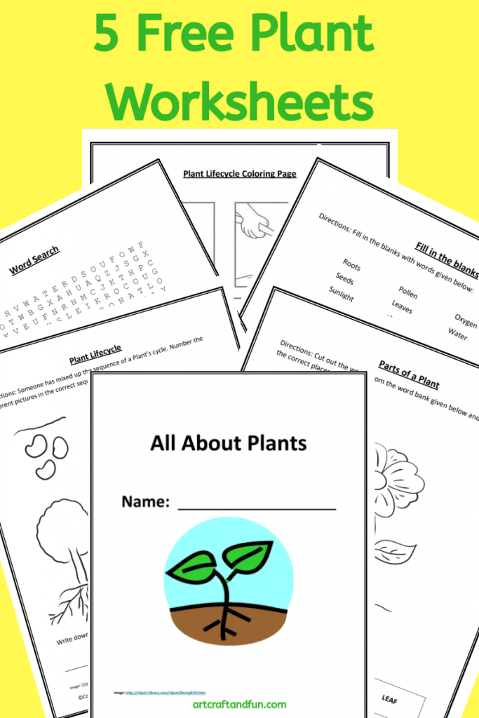 Grab these 5 Free Printable Plant Worksheets today. They are perfect for grade schoolers. Fun way of reinforcing concepts. #freeworksheets #freeprintable #plantworksheets