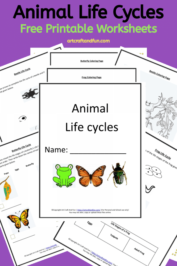 Get Free Printable Animal Life Cycle Worksheets Today!!!!