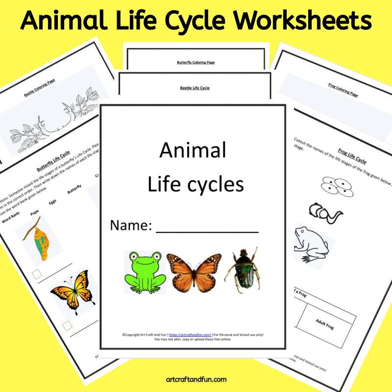 Free Printable Animal Life Cycle Worksheets -