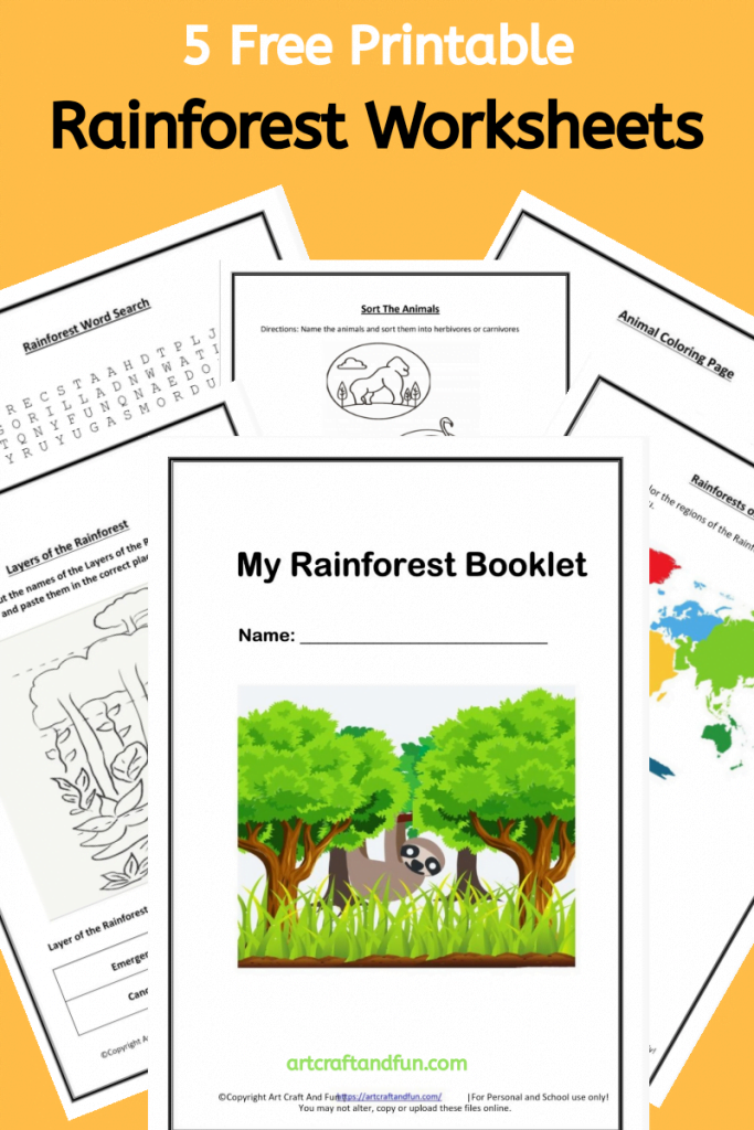 Layers Of The Rainforest Worksheet Slide Share