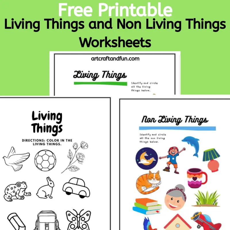 Grab this set of free printable Living things and Non Living things worksheets set today! This fun and colorful worksheet set is sure to make any kid happy. #freeprintables #freeworksheets #freelivingthingworksheet #freenonlivinthingworksheet #freelivingthingandnonlivingthingworksheets
