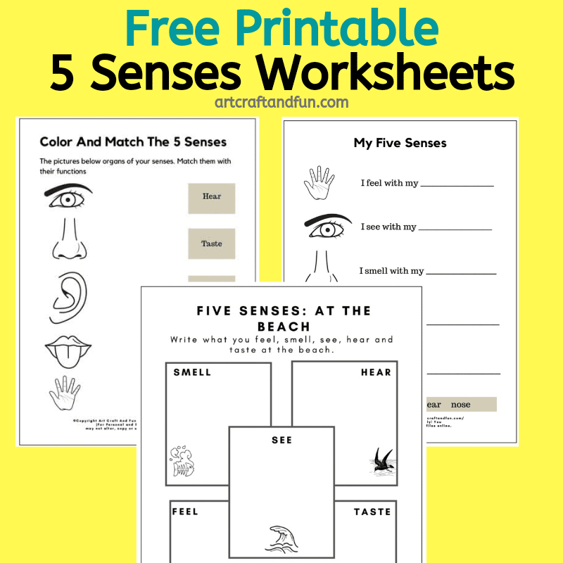 Free Printable 5 Senses Worksheet