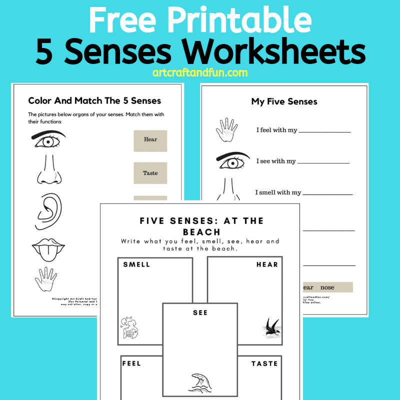 Free Printable 5 Senses Worksheet