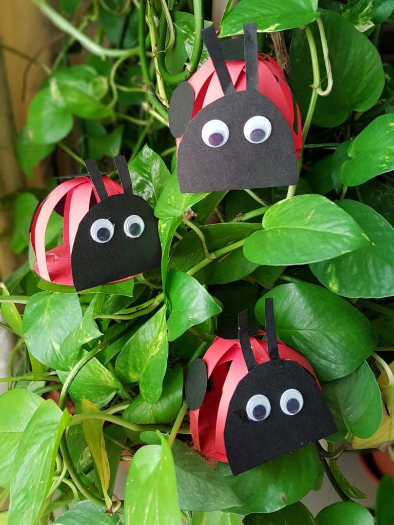 Paper Ladybug Craft For Kids